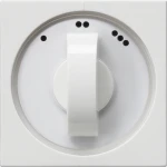 Gira Systeem 55 Besturingselement/Centrale plaat Schakelmateriaal - 066503 - E2FUN