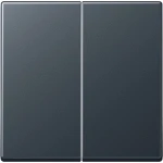 Jung Bedieningselement/Centrale Plaat Schakelmateriaal - A595BFANM - E365F