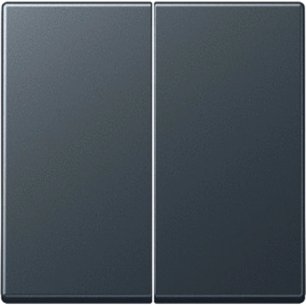 Jung Bedieningselement/Centrale Plaat Schakelmateriaal - A595BFANM - E365F