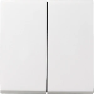 Gira Systeem 55 Besturingselement/Centrale plaat Schakelmateriaal - 029527 - E29DU