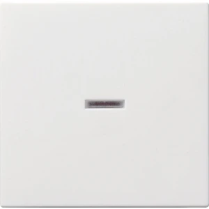 Gira Systeem 55 Besturingselement/Centrale plaat Schakelmateriaal - 029027 - E29DW