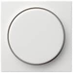 Gira Systeem 55 Besturingselement/Centrale plaat Schakelmateriaal - 065027 - E29G4