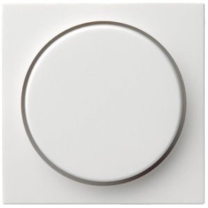 Gira Systeem 55 Besturingselement/Centrale plaat Schakelmateriaal - 065027 - E29G4