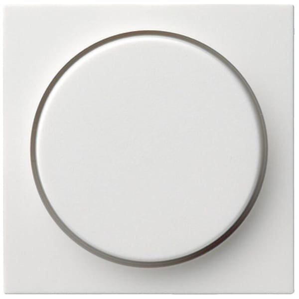 Gira Systeem 55 Besturingselement/Centrale plaat Schakelmateriaal - 065027 - E29G4