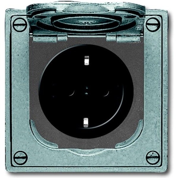 ABB Busch-Jaeger All-weather IP44 Wandcontactdoos (schakelmateriaal)