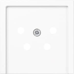 Jung AS500 Insteekplaat Schakelmateriaal - A561NTFWW - E32S3