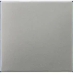 Jung Aluminium/Goudstaal/Chroom Bedieningselement/Centrale Plaat Schakelmateriaal - ES2990 - E28CF