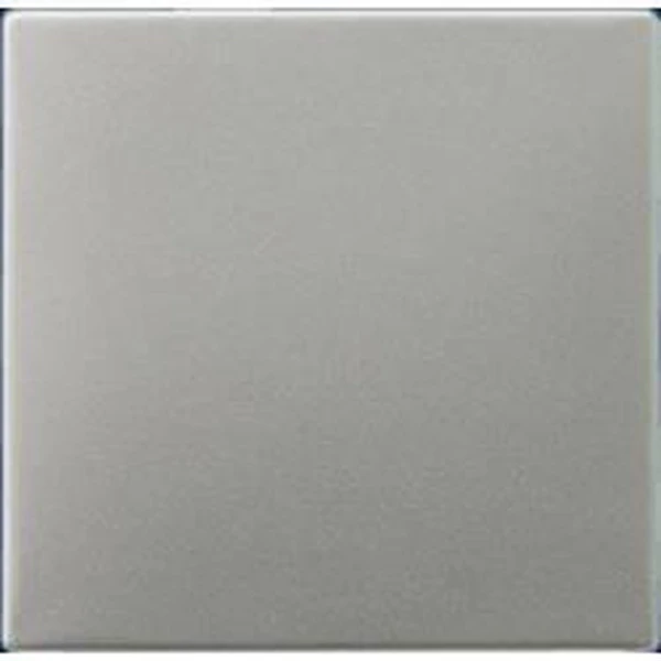Jung Aluminium/Goudstaal/Chroom Bedieningselement/Centrale Plaat Schakelmateriaal - ES2990 - E28CF