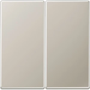 Jung Aluminium/Goudstaal/Chroom Bedieningselement/Centrale Plaat Schakelmateriaal - ES2995 - E28CH