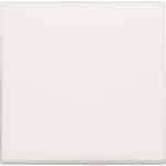Niko Origineel Bedieningselement/Centrale Plaat Schakelmateriaal - 101-31002 - E2CBD