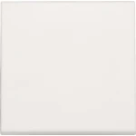 Niko Origineel Bedieningselement/Centrale Plaat Schakelmateriaal - 101-31002 - E2CBD