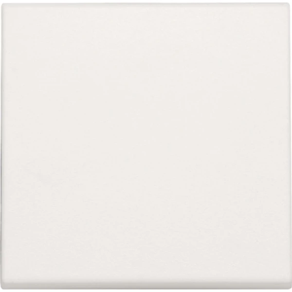 Niko Origineel Bedieningselement/Centrale Plaat Schakelmateriaal - 101-31002 - E2CBD