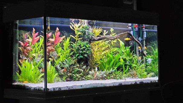 Aquarium LED verlichting dimbaar