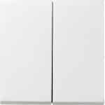 Gira Systeem 55 Besturingselement/Centrale plaat Schakelmateriaal - 029527 - E29DU
