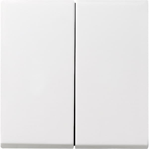 Gira Systeem 55 Besturingselement/Centrale plaat Schakelmateriaal - 029527 - E29DU