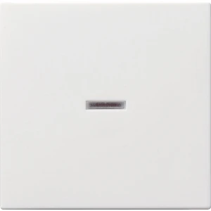 Gira Systeem 55 Besturingselement/Centrale plaat Schakelmateriaal - 029003 - E2FUK
