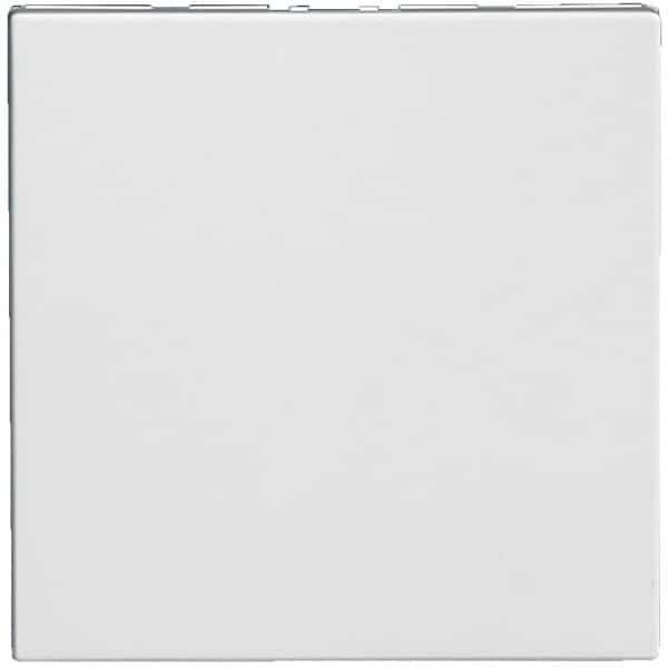 Tweemodulair Afdekplaat voor Schakelmateriaal Wit