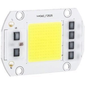 Dailygoods - Dailygoody - 100W LED-chip - Hoogspanning - Koud wit - Dimmer Gloeilamp - Lichtbron voor binnen en buiten - Geschikt voor thuistuin en sfeerverlicht