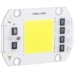 Dailygoody - 100W LED-chip - Hoogspanning - Koud wit - Dimmer Gloeilamp - Lichtbron voor binnen en buiten - Geschikt voor thuistuin en sfeerverlicht