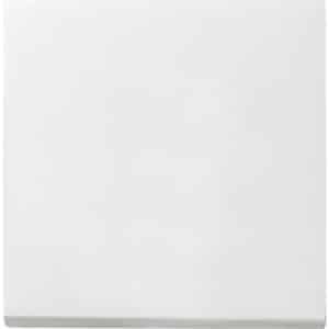 Gira Systeem 55 Besturingselement/Centrale plaat Schakelmateriaal - 029627 - E29DR